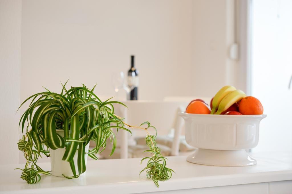 Spacious Chic Residence Zadar Rum bild